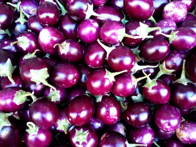 Small round eggplants 2017 A