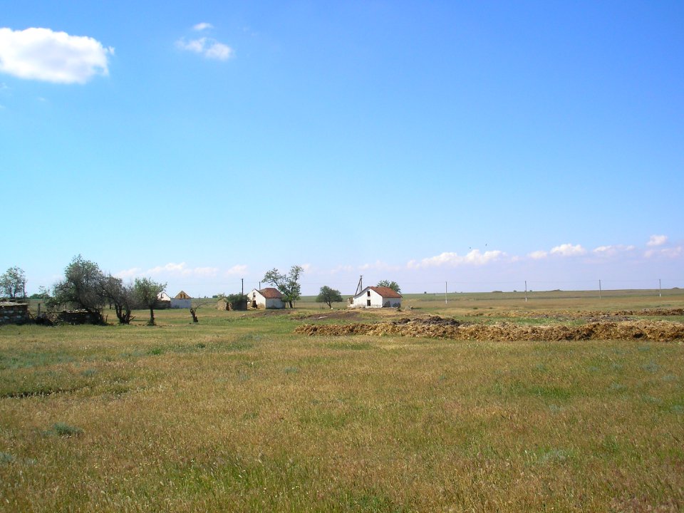 Smushkino 11