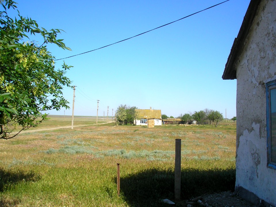 Smushkino 10