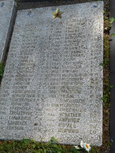 Smolensk - Mass Graves 260 - Glushenki - 11