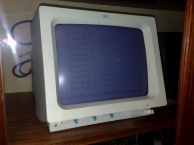 Smrt ana monitoru 1