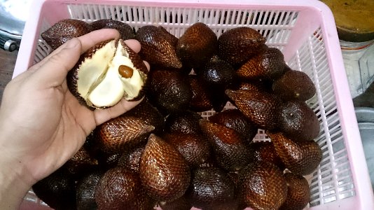 Snake fruit photo