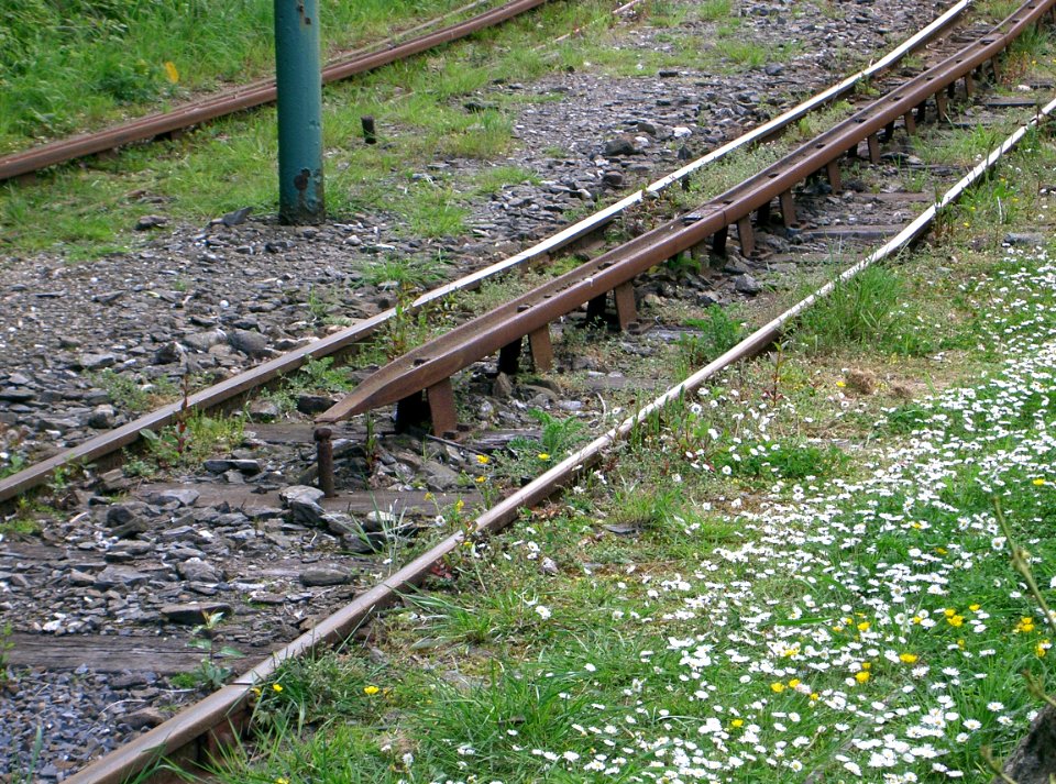 Snaefell-MtnRly-FellRail-CIMG0399