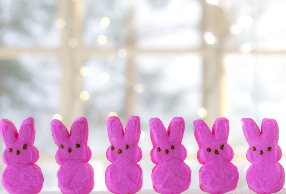 Pink peeps bunnies candy