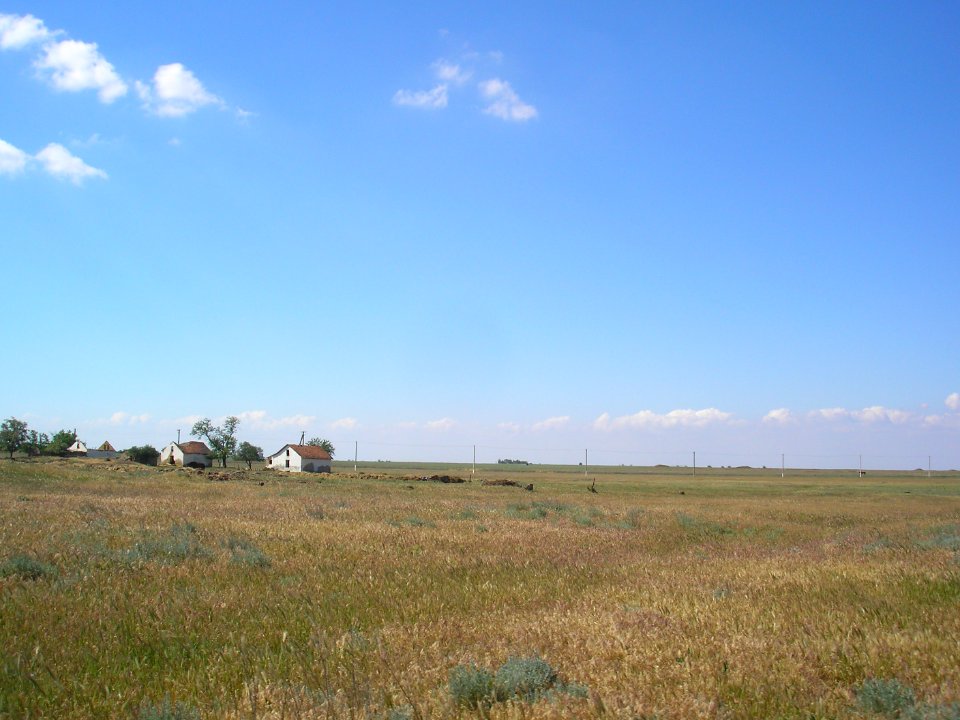 Smushkino 3
