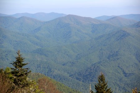 Snaggy Bald viewed from Waterrock Knob, May 2017