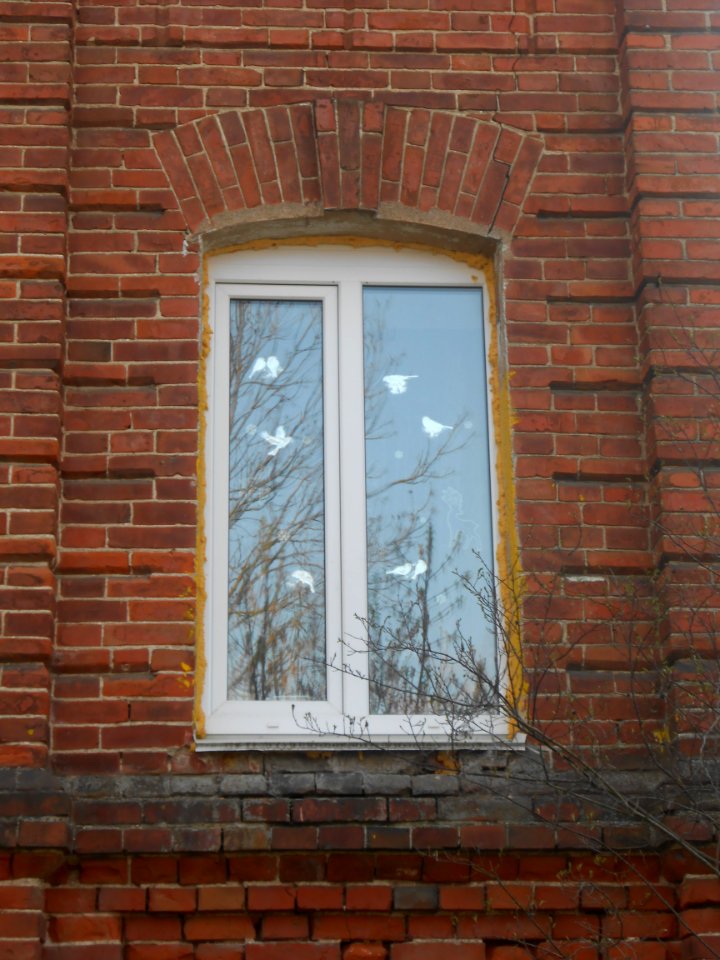 Smolensk, Furmanova street 14 - 11
