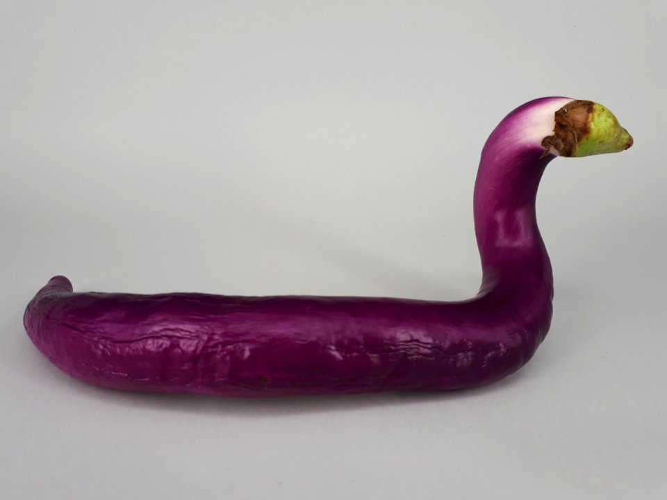 Snake-shaped Orient Charm eggplant 2017 A2