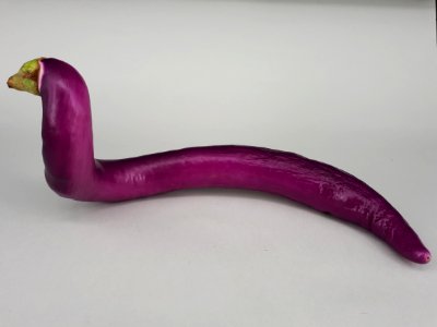 Snake-shaped Orient Charm eggplant 2017 A1
