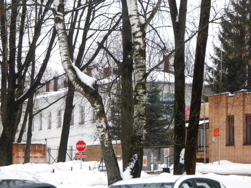 Smolensk, Frunze Street, 35 - 02