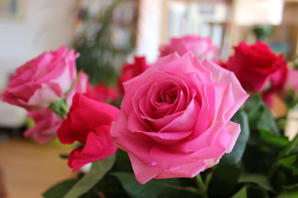 Pink flowers love interior