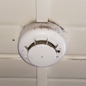 Smoke detector in cold storage (01) photo