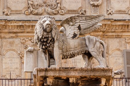 Winged lion italy wing photo