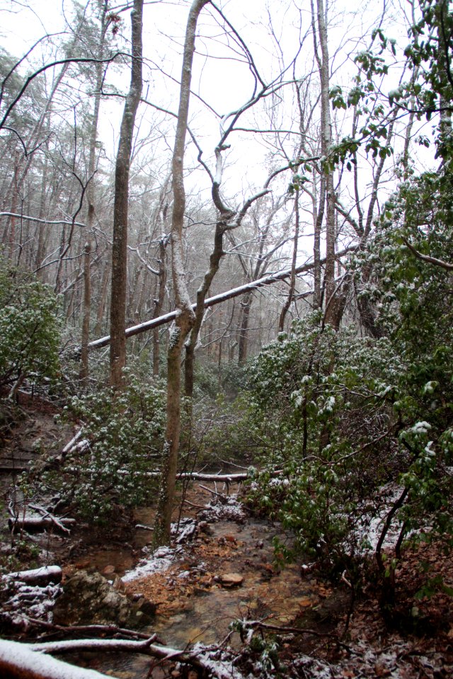 Snow on Pine Mountain Trail, Cartersville, GA Feb 2020 07