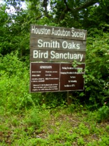 SmithOaksBirdSanctHouston