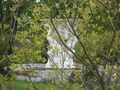 Smolensk, Bolshaya Sovetskaya street - Fountain - 02