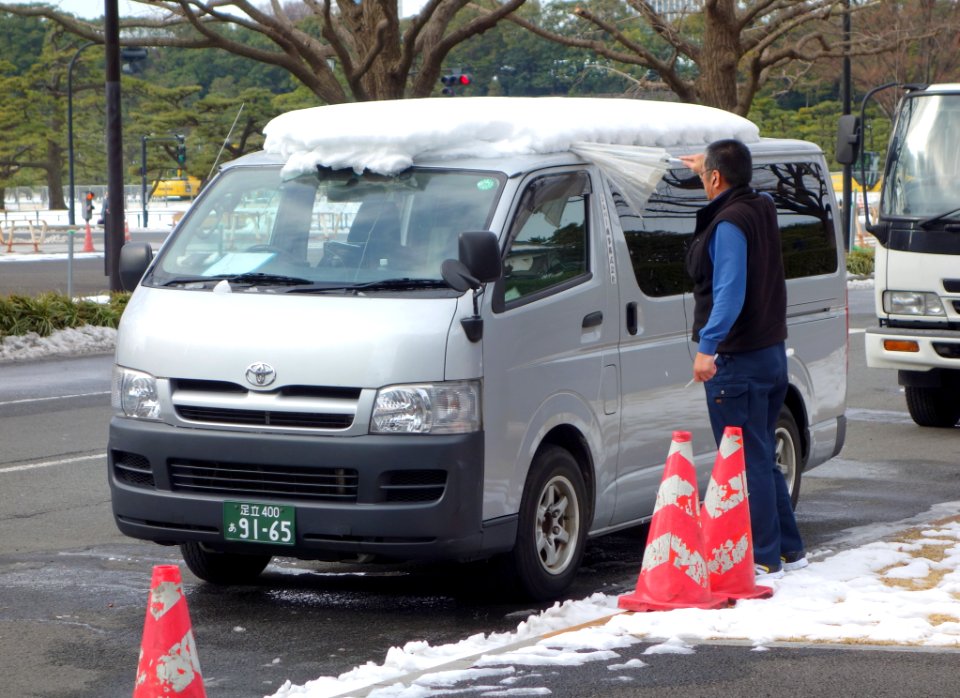 Snow in Tokyo - DSC09327