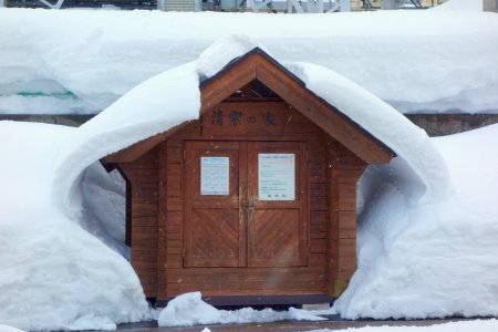 Snow - Yuzawa, Niigata - DSC09433