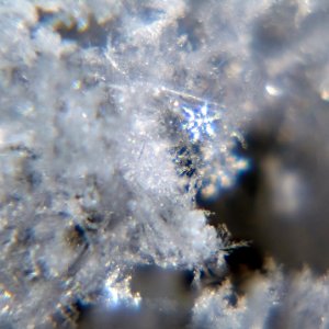 Snow flakes at night 8