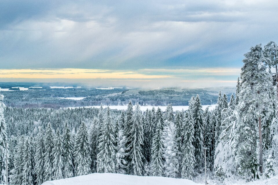 Snow finnish nature photo