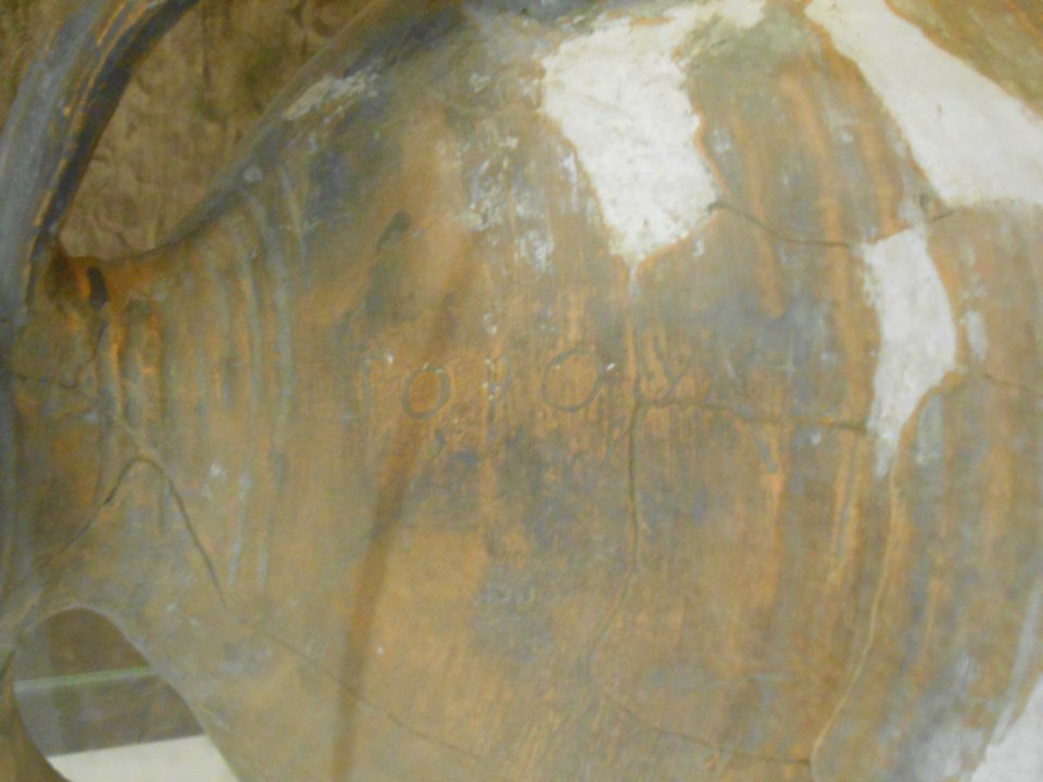 Smolensk Historical Museum - 0269