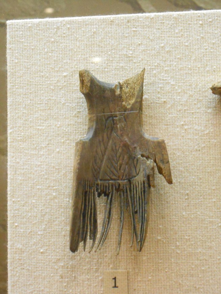 Smolensk Historical Museum - 0237