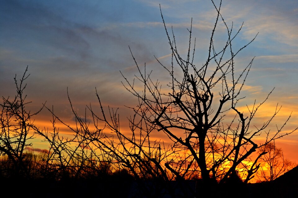 Evening evening sun landscape