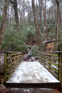 Snow on Pine Mountain Trail, Cartersville, GA Feb 2020 03 photo