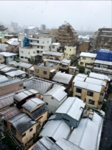 Snow in Tokyo on March 29