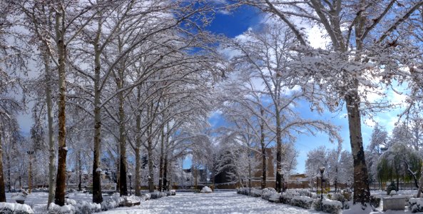 Snow-Amin Al-Islami mansion