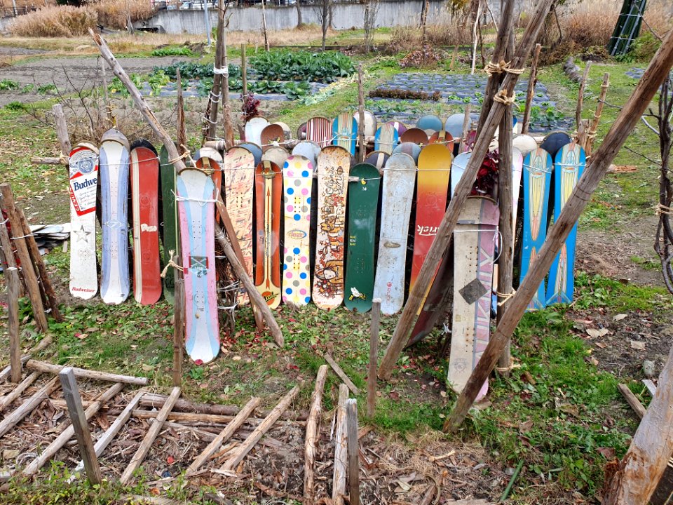 Snowboards used in agriculture