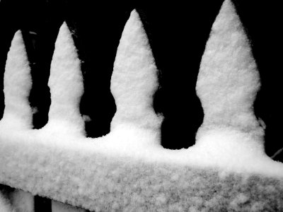 Snow on a wooden gate, Beechview, 2020-12-01