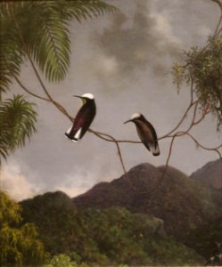 Snowcap by Martin Johnson Heade
