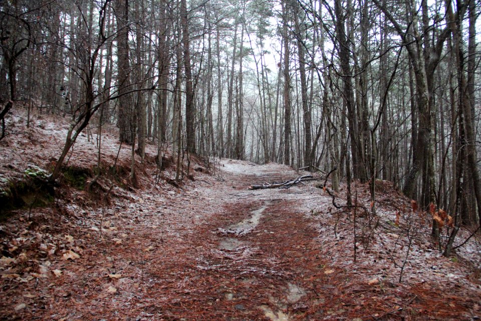 Snow on Pine Mountain Trail, Cartersville, GA Feb 2020 01