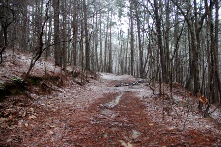 Snow on Pine Mountain Trail, Cartersville, GA Feb 2020 01