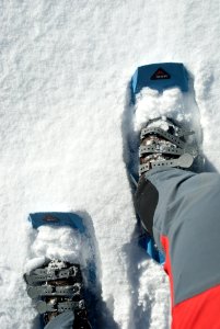 Snowshoes in action photo