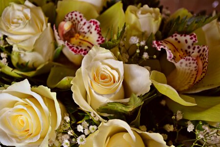 White roses bridal veil orchids