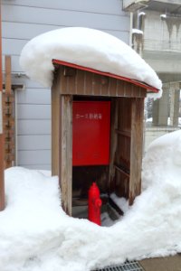 Snow - Yuzawa, Niigata - DSC09362