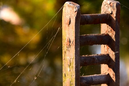 Nature backlighting metal photo