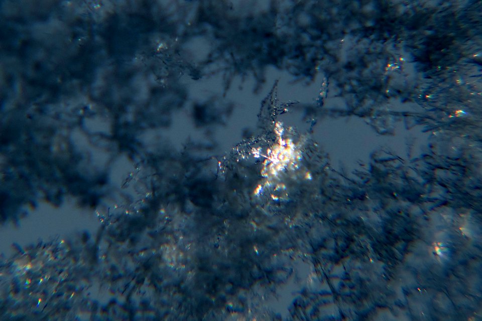 Snow crystals on window glittering in strong direct sunlight 34 - cropped - high contrast