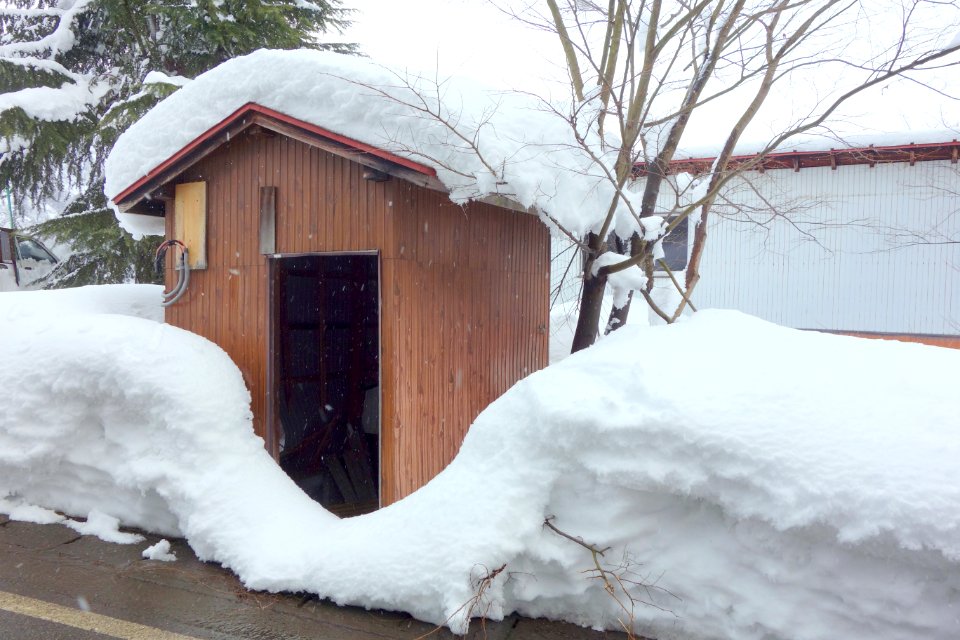 Snow - Yuzawa, Niigata - DSC09397
