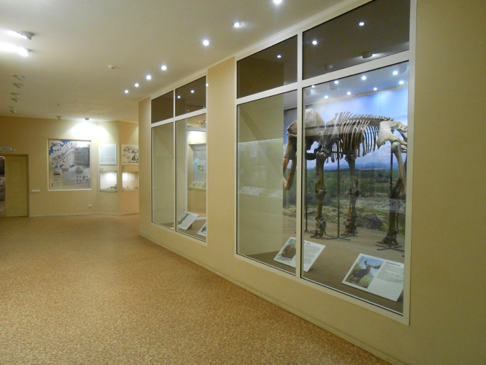 Smolensk Historical Museum - 0272