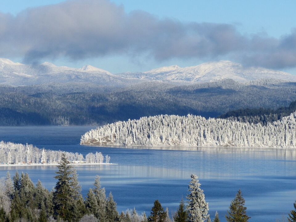 Ice frosty landscape