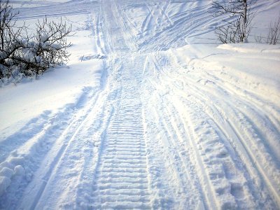 Snowmobile tracks
