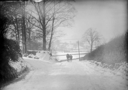Snowscene (1293819)