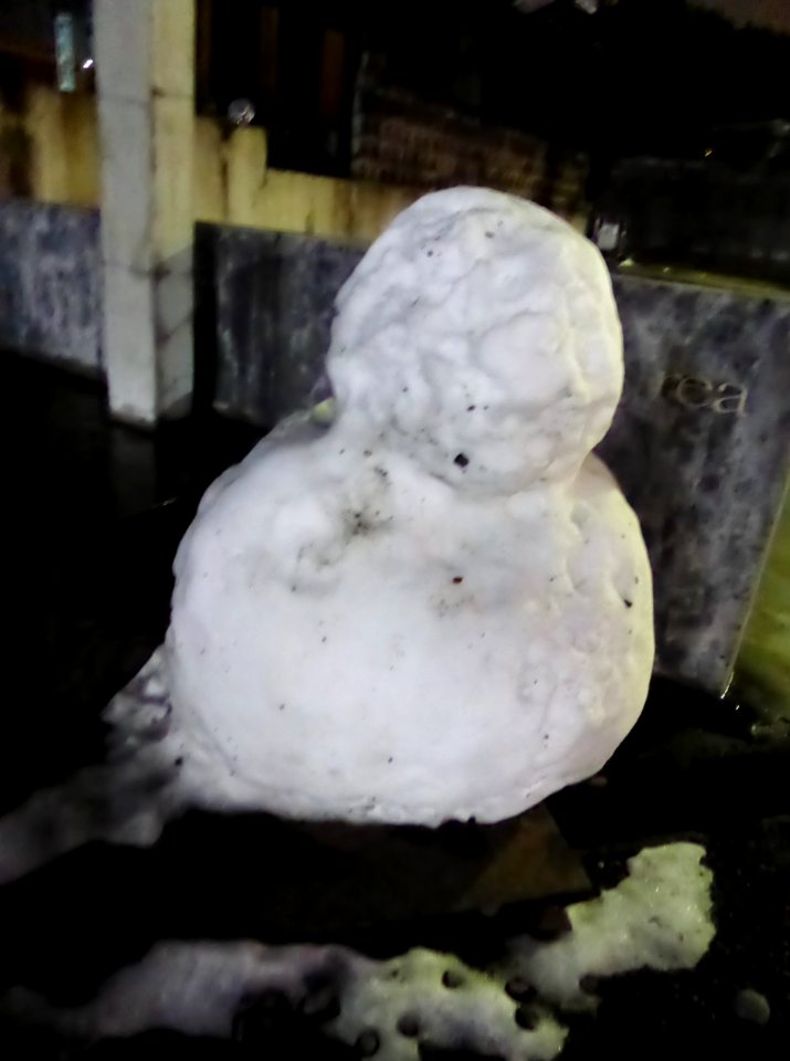 Snowman at Ikoma