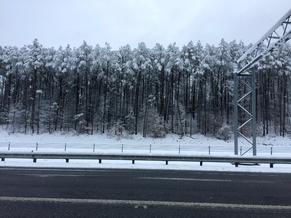 Snowy trees along I-575, Cherokee County, GA Dec 2017