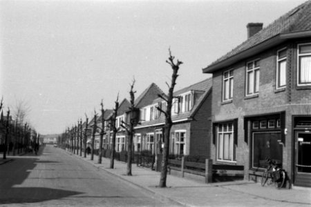 Snoeien, wegen, huizen, straatbeplanting, acacia, Bestanddeelnr 170-0932