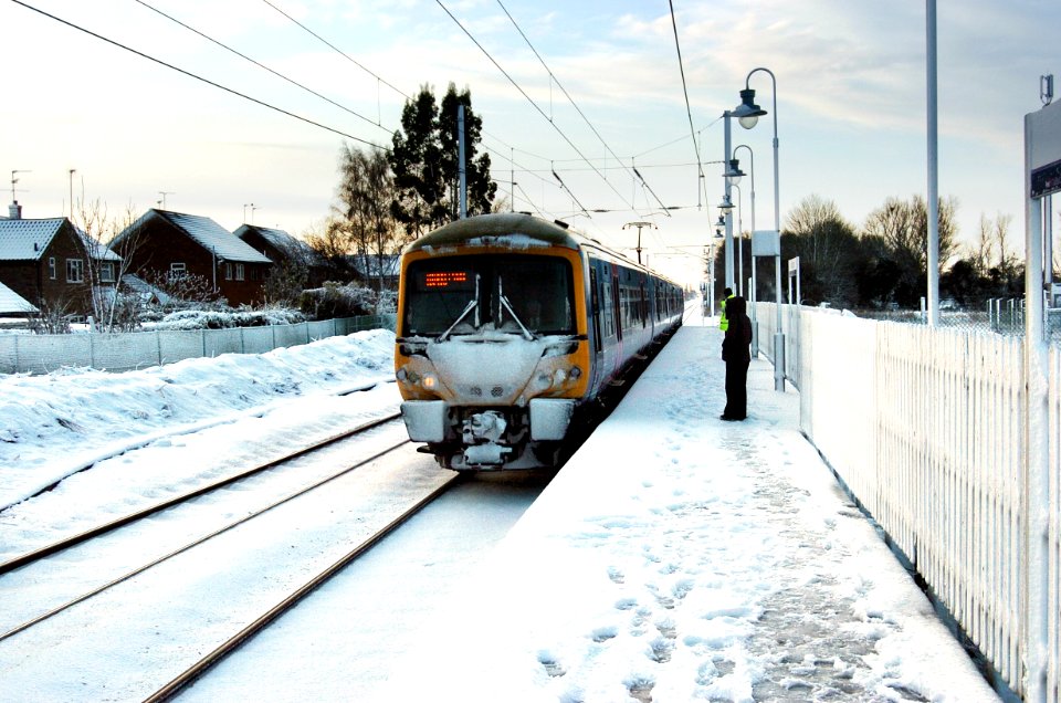Snowy 365 at Watlington