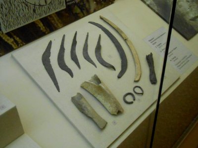 Smolensk Historical Museum - 0040